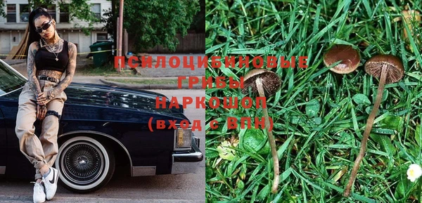прущий лед Вязники