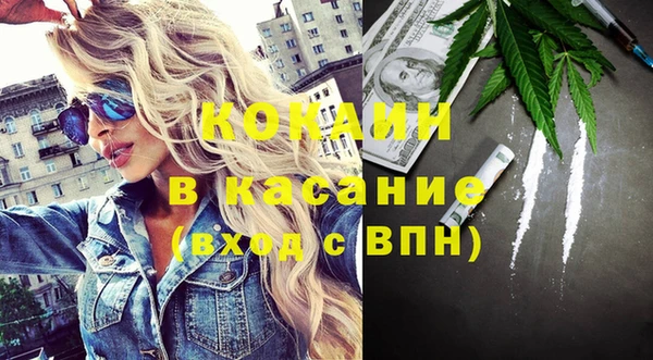 стаф Вяземский