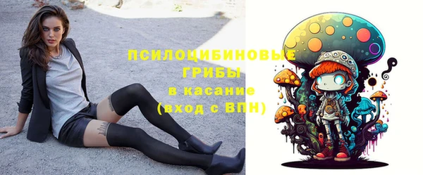 стаф Вяземский