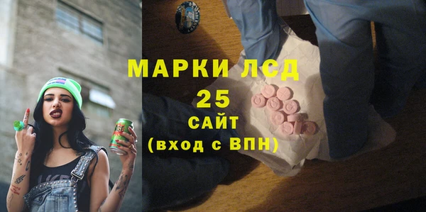 стаф Вяземский