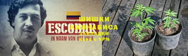 стаф Вяземский