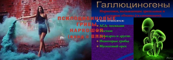 стаф Вяземский